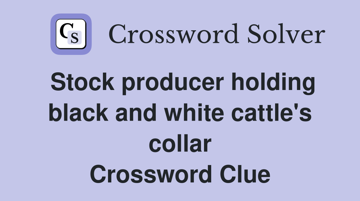 Stock producer holding black and white cattle's collar Crossword Clue